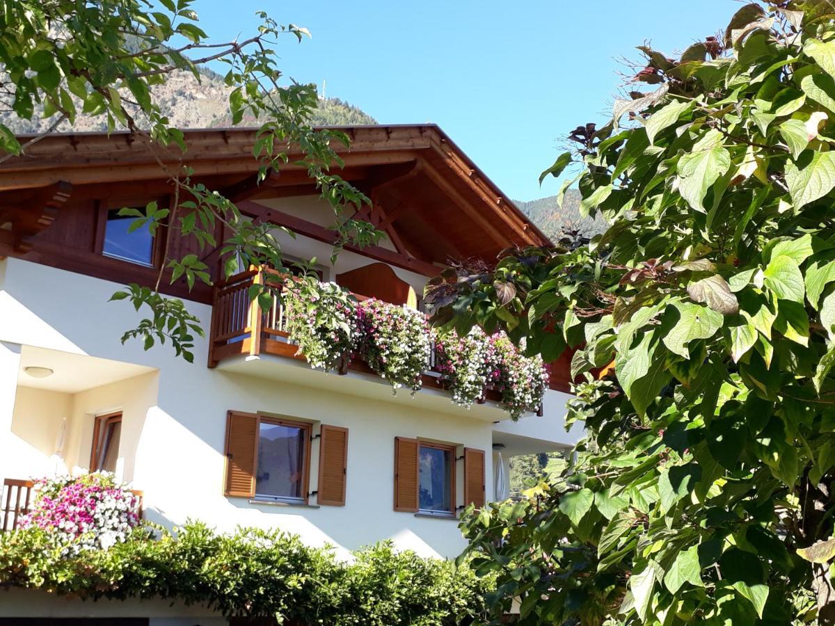 Torggelehof Apartment *